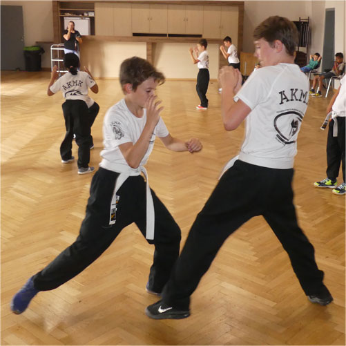 Cours Krav Maga
